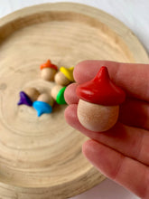 Load image into Gallery viewer, Rainbow Acorns