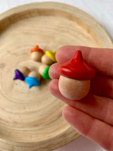Rainbow Acorns