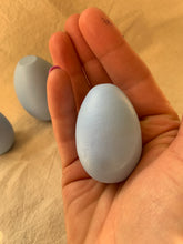 Load image into Gallery viewer, Seconds Eggs #5