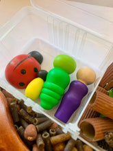 Load image into Gallery viewer, Bug Loose Parts