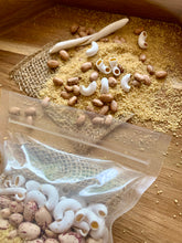 Load image into Gallery viewer, Fossil Sensory Base - Small