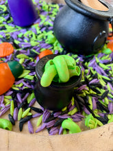 Load image into Gallery viewer, Hocus Pocus (1 off purchase)