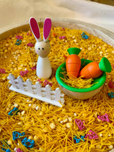 Load image into Gallery viewer, Easter Bunny, Bowl &amp; Carrots
