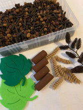 Load image into Gallery viewer, Bugs Alive Dirt Sensory Base - Large