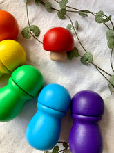 Load image into Gallery viewer, Mushrooms &amp; Pots Rainbow